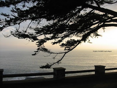 Virginie Pagnier Hypnothérapeute, Hypnothérapeute à La Jarrie