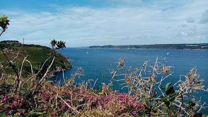 Ressource Intérieure Reiki, Praticien de Médecine Alternative à Saint-Prouant