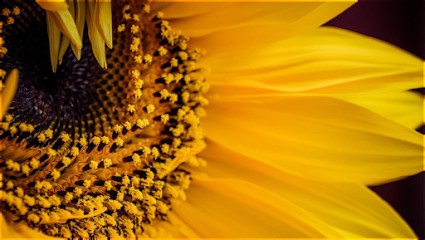 Alexia Bionaz Hypnose & Co., Hypnothérapeute à Laon