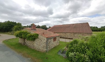 Marie LAROCK, Praticien de Médecine Alternative à Nieul-le-Dolent