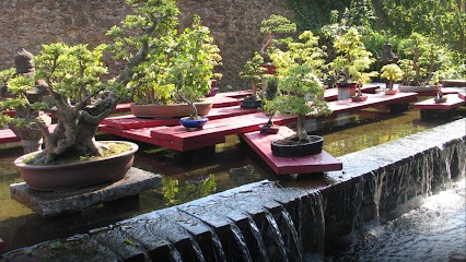 Elisabeth GENEVIEVE.Kinésiologue, Association TOPZEN, Praticien de Médecine Alternative à Sorède