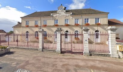 Audrey David Naturopathe, Praticien de Médecine Alternative à Épervans