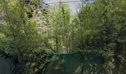 Claude Renard, Praticien de Médecine Alternative à Châteaurenard