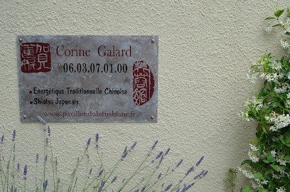 Galard Corine, Praticien de Médecine Alternative à Pompignac