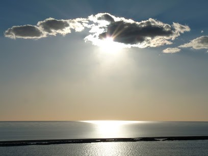 Jean Luc Magnetiseur Radiesthésiste Géobiologue, Cabinet, Domicile Ou à Distance, Praticien de Médecine Alternative à Cannes