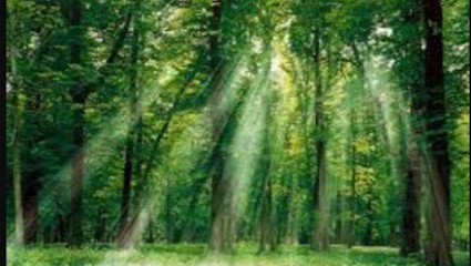 Celia Mortelecq Hypnotherapeute Hypnose Ericksonienne Et Humaniste L’Isle Adam, Hypnothérapeute à L'Isle-Adam