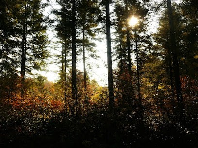 Avril Laheurte - Sophrologue, Praticien de Médecine Alternative à Besançon