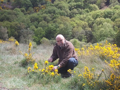 MAGNETISEUR COUPEUR DE FEU REGIS V, Praticien de Médecine Alternative à Saint-Maximin-la-Sainte-Baume