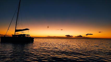 Véronique Mazères hypnothérapeute, Hypnothérapeute à Carcès