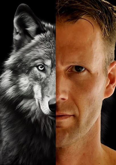 Pierre Magnétisme, Praticien de Médecine Alternative à Chemillé-en-Anjou