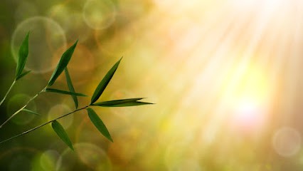 Magnétiseur - Béatrice Lopez [Gestion Du Stress & Des Emotions ☆ Douleurs ☆ Fatigue ☆ Equilibre ☆ Bien être], Praticien de Médecine Alternative à Suresnes