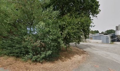 Julie Pilard - Réflexologue, Réflexologue à L'Herbergement