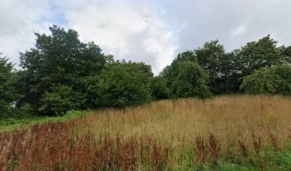 Le Cercle Des Monts D'Arrée, Praticien de Médecine Alternative à Commana