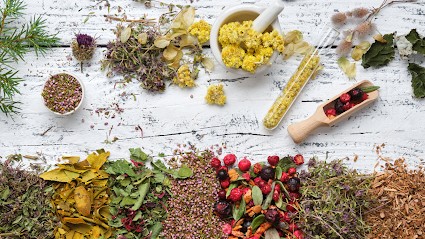 Agnès Labaune Naturopath And Care Esseniens, Praticien de Médecine Alternative à Saillans