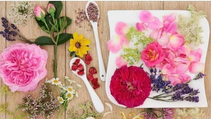 Blanchin Karen Naturopathe, Praticien de Médecine Alternative à Vourey