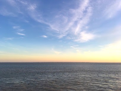 Françoise Vigié, Hypnothérapeute à Châtellerault