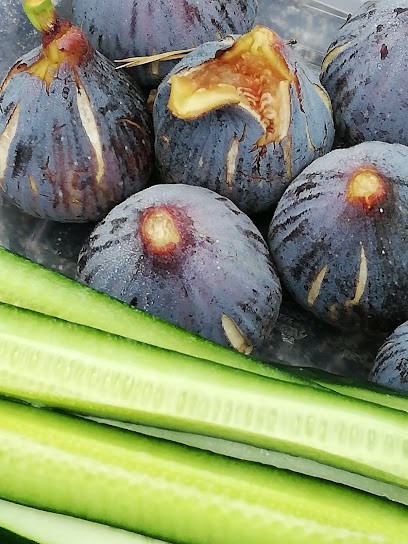 Les Happyers, Praticien de Médecine Alternative à Réalmont