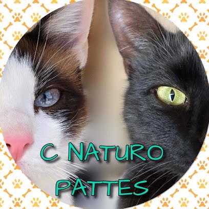 C NATURO PATTES, Praticien de Médecine Alternative à Montélier