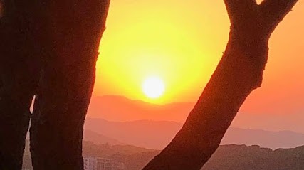 Lemaître Bénédicte, Praticien de Médecine Alternative à Dinan