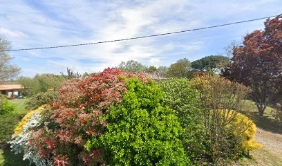 Malika Réflexologue dans le langonnais, Réflexologue à Berthez