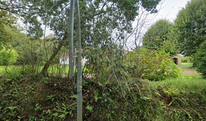 Carré Sylviane, Réflexologue à Pleumeur-Bodou