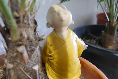 Les Fées De Lumière - Céline Viala, Réflexologue à Montech