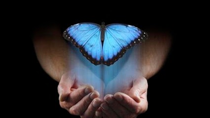 Met à Morphose, Hypnothérapeute à Vabres-l'Abbaye