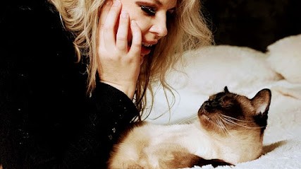 Virginie DAULARD, Praticien de Médecine Alternative à Coursac