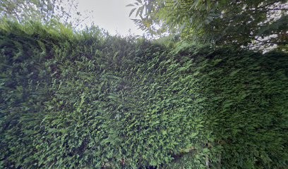 Natur'O Pieds - Nathalie CHAMIOT-PONCET, Réflexologue à Lasse