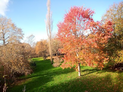 Ethnomédecine Chinoise - Fanny Escartin, Praticien de Médecine Alternative à La Hague