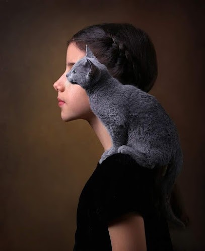 Virginia Magnetizer Corps Esprit Humain Animal Lieux Medium -Atelier Transmission Du Savoir En Présentiel &Distanciel, Praticien de Médecine Alternative à Fontvieille