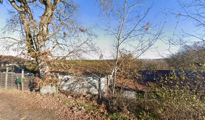 OLIVIER ALOÏSI Praticien En Santé Naturelle, Praticien de Médecine Alternative au Born