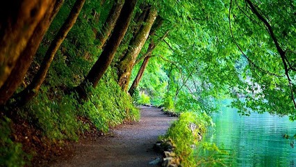 Le Gall Nathalie, Hypnothérapeute à Quimper