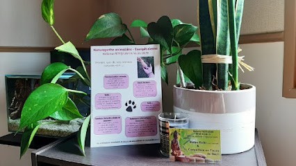 Mélanie Petitjean EI - Naturopathie animale & Relaxologie pour humain, Praticien de Médecine Alternative au Lesme