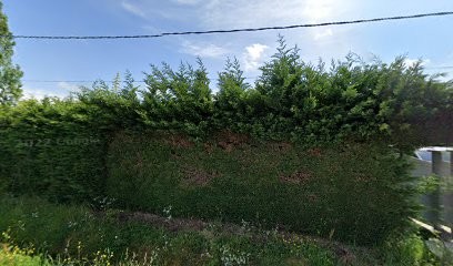 Nathalie Martin, Praticien de Médecine Alternative à Saint-Loubès