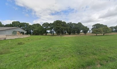 Charlotte Viaud, Praticien de Médecine Alternative à Beaussais-sur-Mer