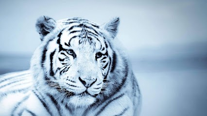 Julien Barrier hypnotherapeute, Hypnothérapeute à Grandvilliers