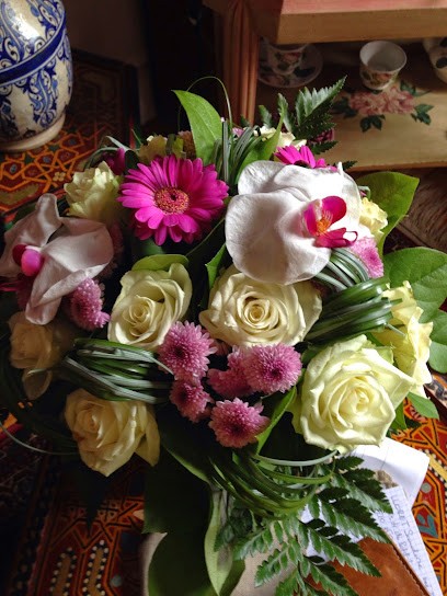 France DUSSUTOUR, Praticien de Médecine Alternative à Enghien-les-Bains