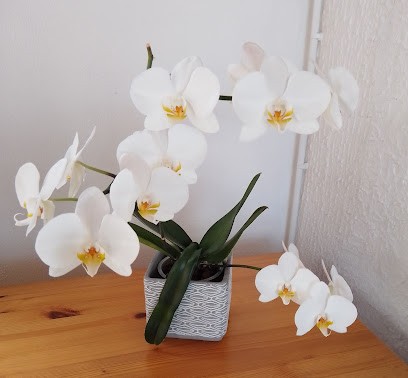 Karine Bouton - Sophrologue Certifiée à Eysines (33), Praticien de Médecine Alternative à Eysines