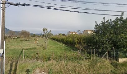 RIES Didier, Hypnothérapeute à La Garde