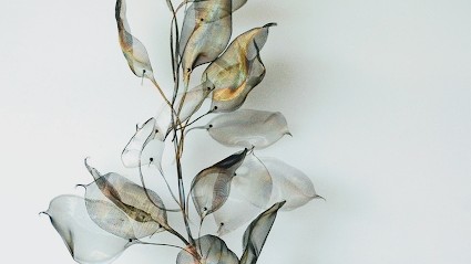 Allison Blazquez Sophrologue - AB Holistique, Praticien de Médecine Alternative à Castelnau-le-Lez