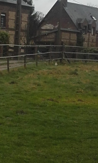 Frémont Françoise, Praticien de Médecine Alternative à Franqueville-Saint-Pierre