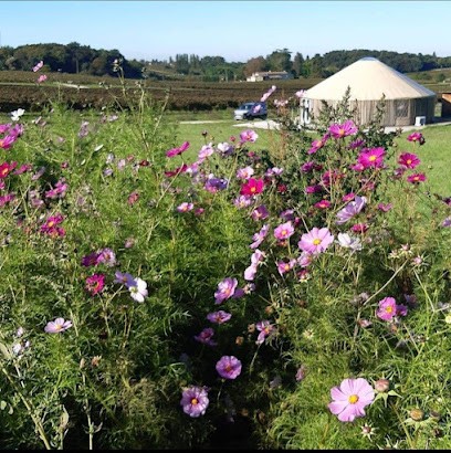 Pascaline André - Musicothérapie Sonothérapie - Éducatrice De Musique Musician Business - Atelier Chant Prénatal, Praticien de Médecine Alternative à Villegouge