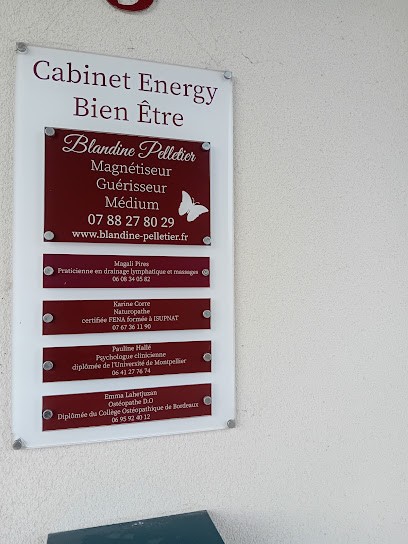 Cabinet Energy Bien Etre- Services De Praticiens En Therapies Complémentaires, Praticien de Médecine Alternative à Nieul-sur-Mer