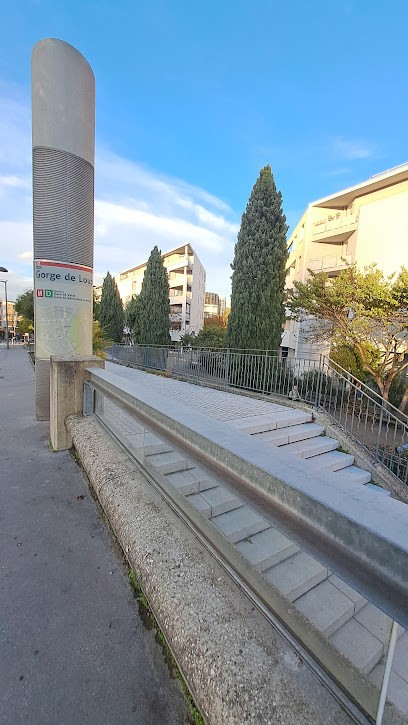 Zhu Yueping, Praticien de Médecine Alternative à Lyon 09