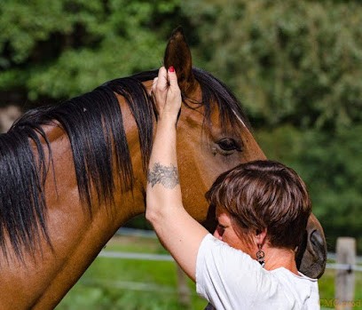 Isahi Shiatsu, Praticien de Médecine Alternative à Sète