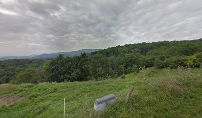 Le Lieu Sauvage, Hypnothérapeute à Castagnède