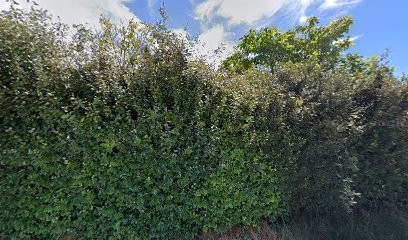 Hélène Prod'homme - Naturopathe Manosque, Praticien de Médecine Alternative à Volx