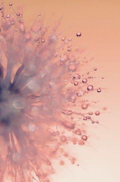 Hypnose Luberon - Natacha Mayaux, Hypnothérapeute à Pertuis