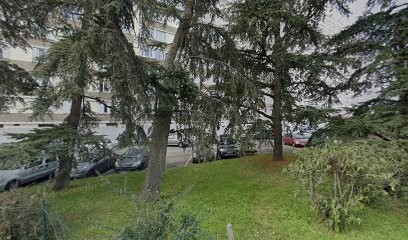 CABINET DE SANTE NATURELLE, Réflexologue à Bron